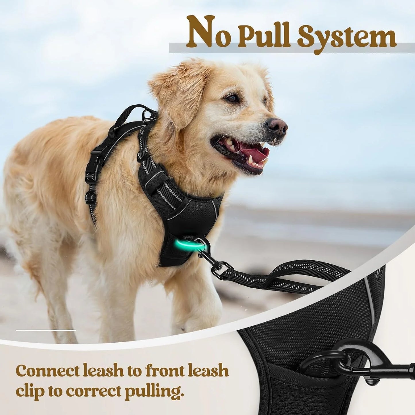 No-Pull Dog Harness with 2 Leash Clips – Adjustable, Reflective, Padded Vest for Large Dogs (Black, L)
