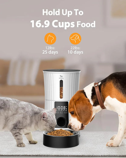 Petory Automatic Cat Feeder – 4L Timed Dispenser with Voice & Battery Backup